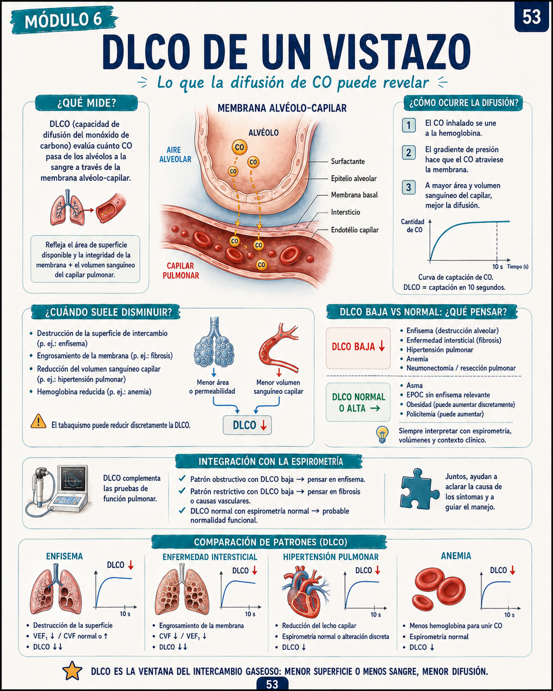 Mapa visual del Atlas de Espirometría