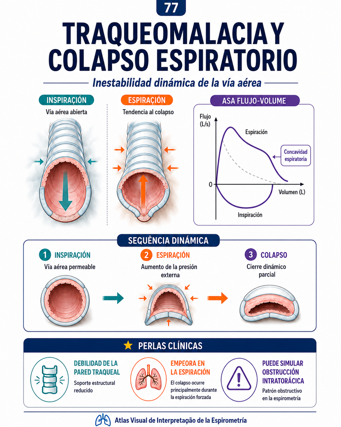 Mapa visual del Atlas de Espirometría